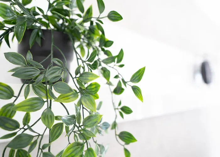 Haus Titania 2 Grömitz